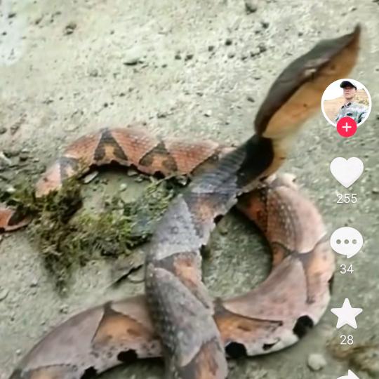 平平淡淡过一生