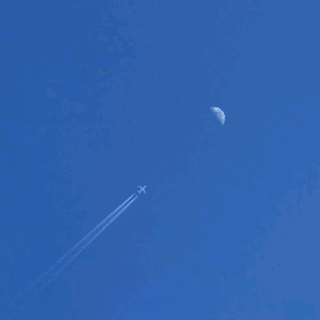 俊