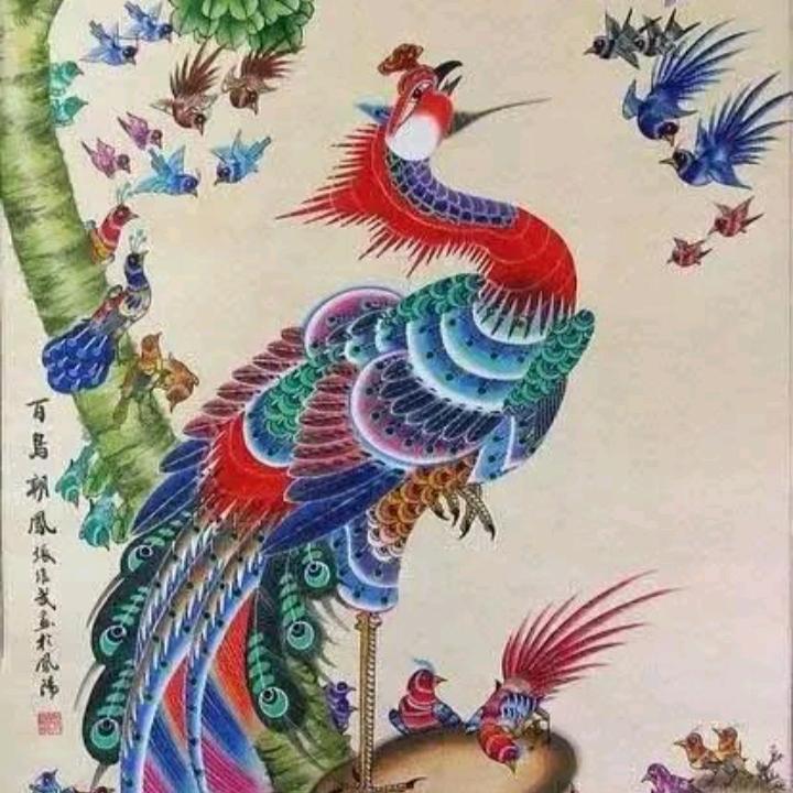 火凤凰一鸣惊人