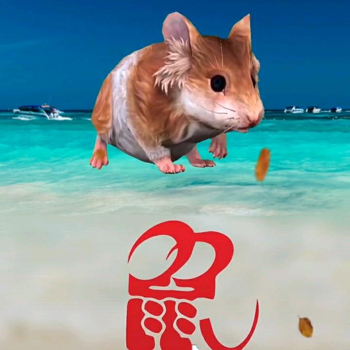 幺哥