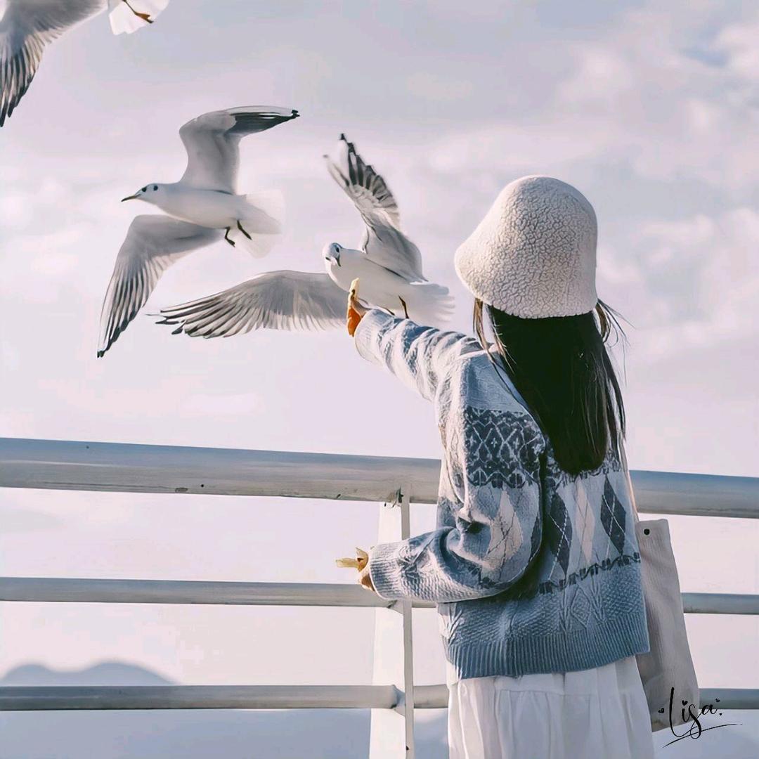 落花倾城