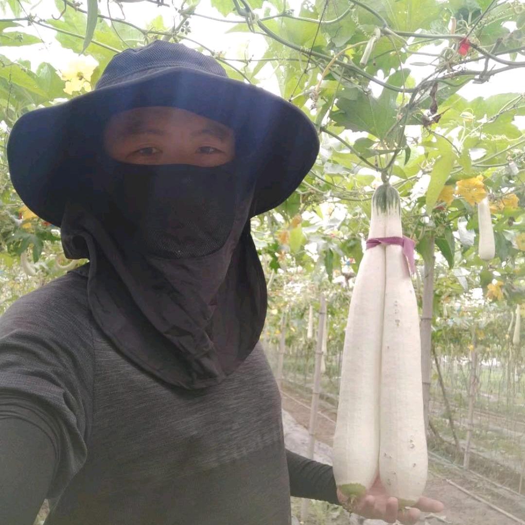 兵哥的乡村生活