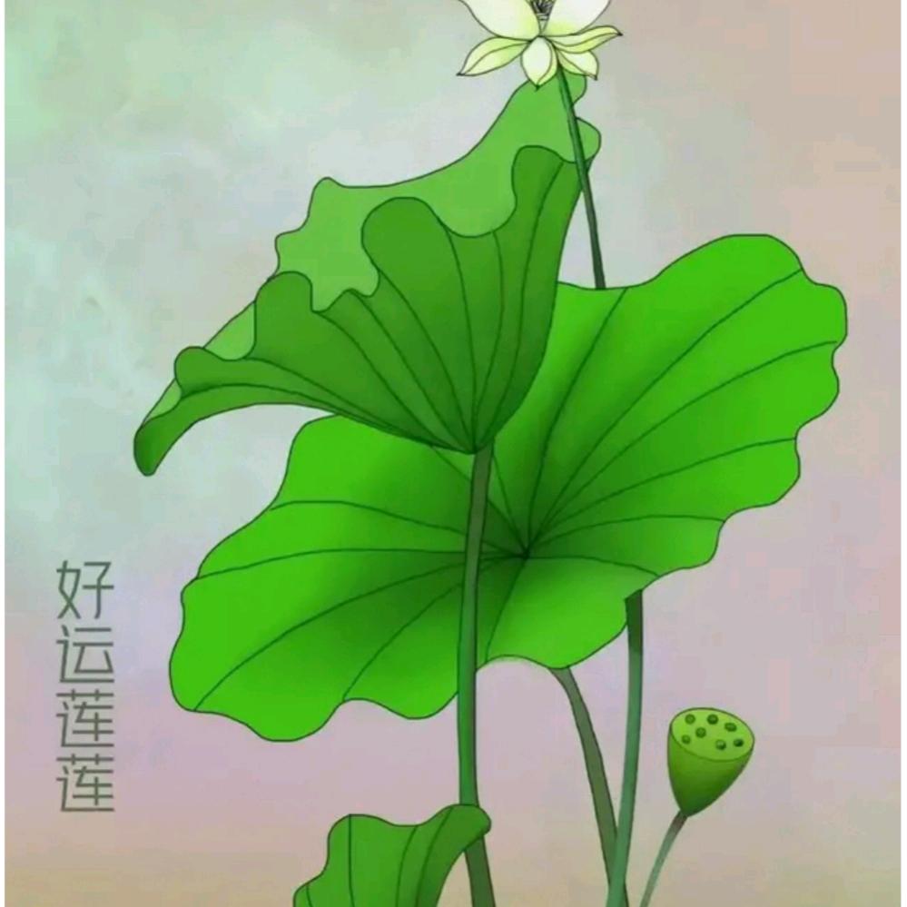 用户4438215607830lesha