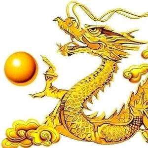 洋洋爱生活