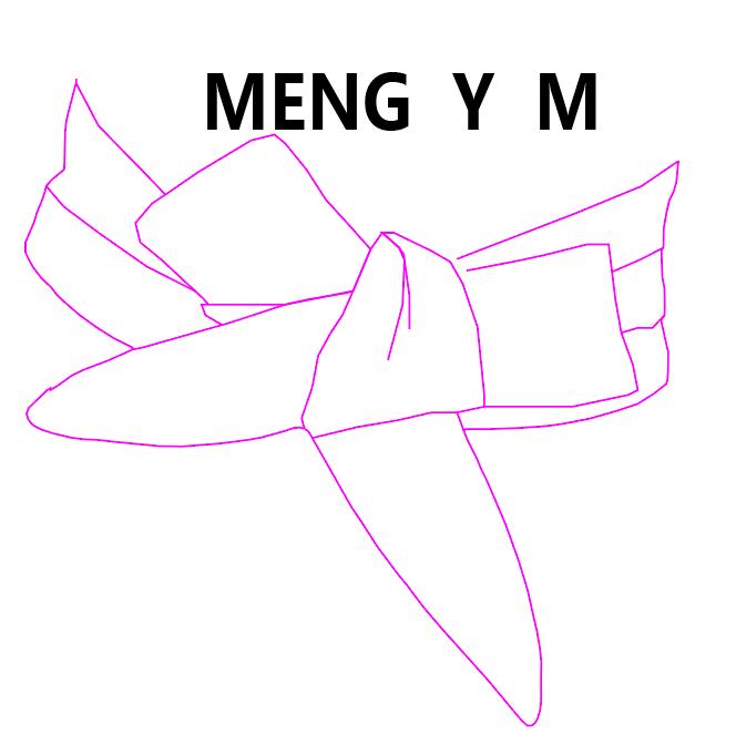 深圳梦伊美