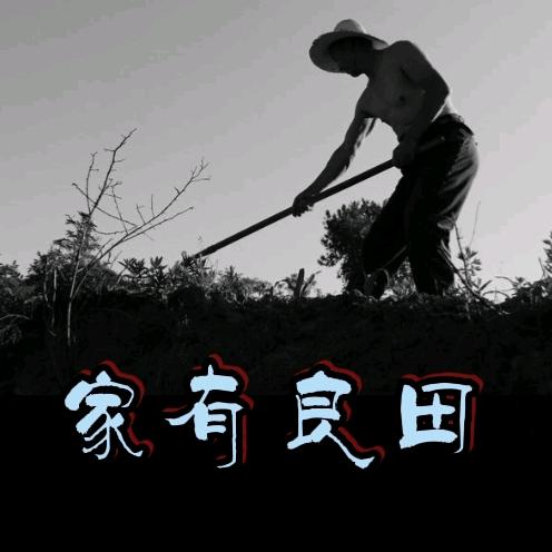 家有良田