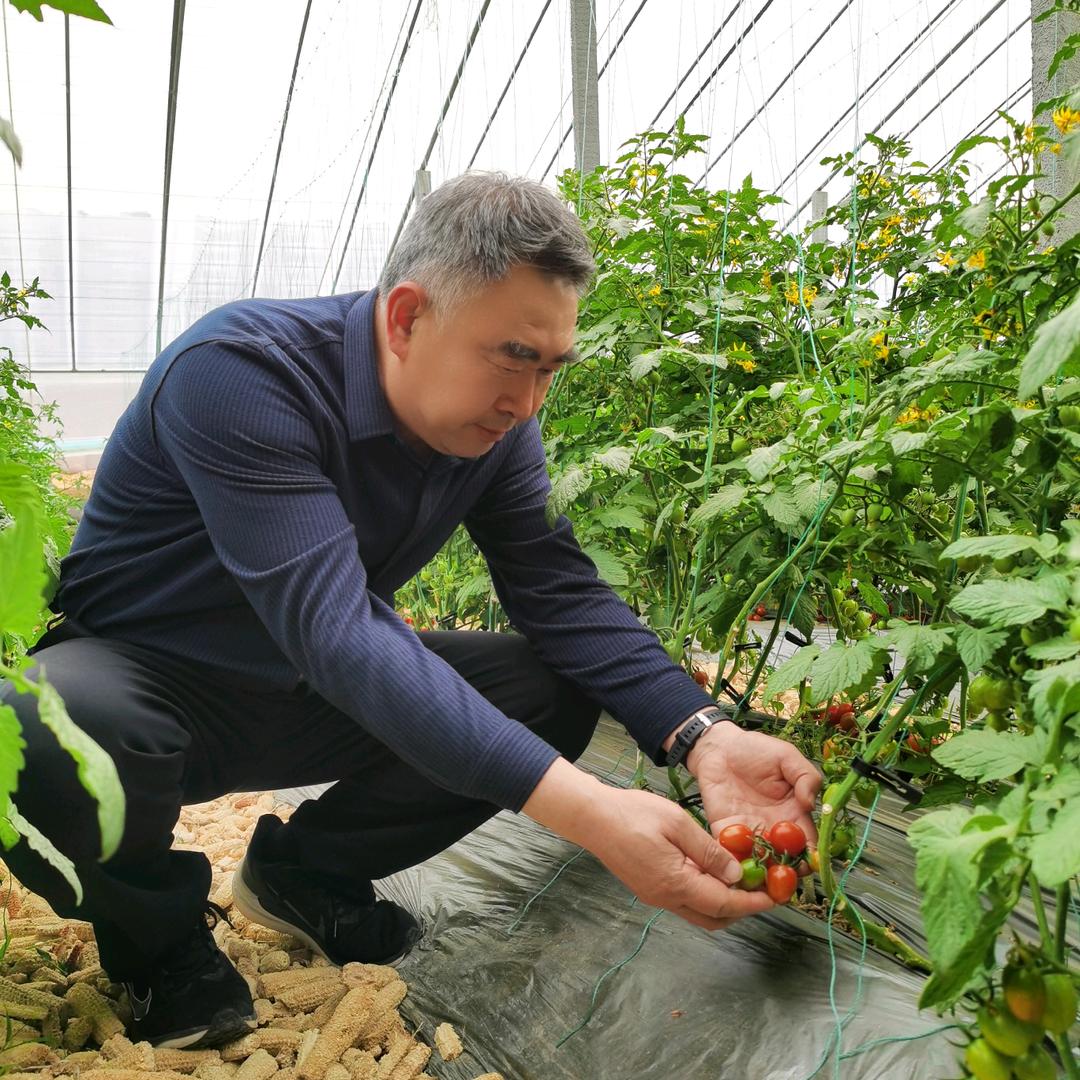 高效生态农业张立宁