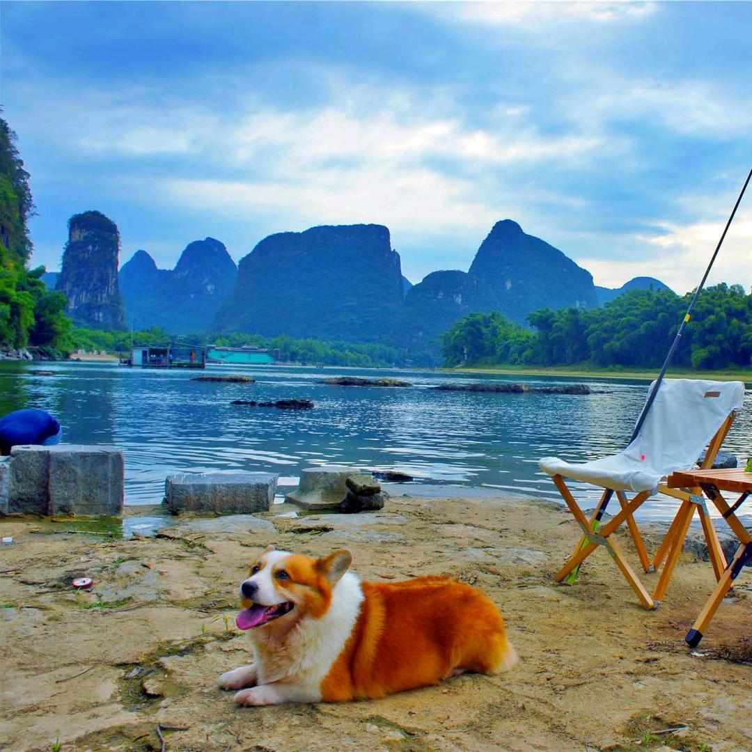 ✔️-大当家✔️