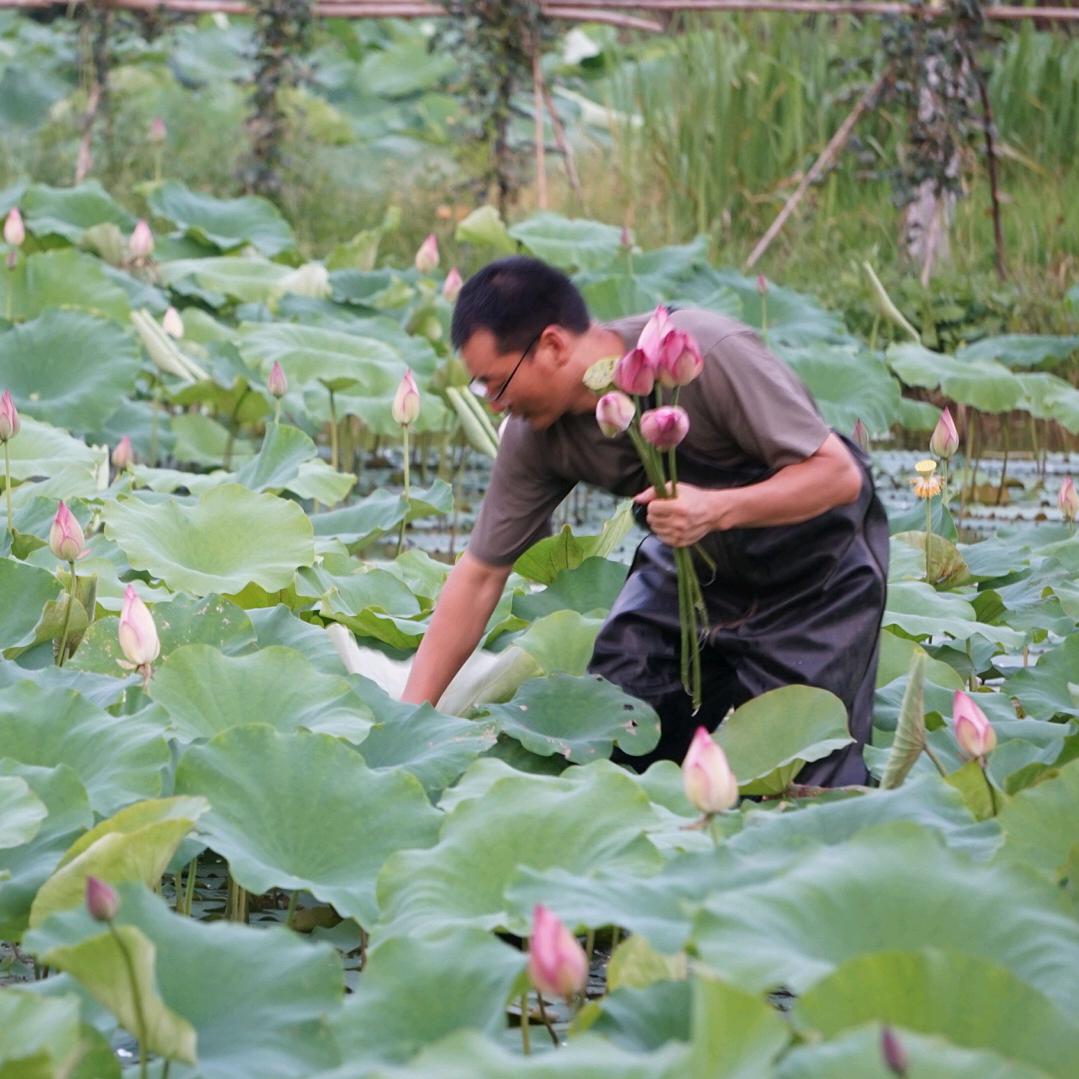 三思而行·李飞墨