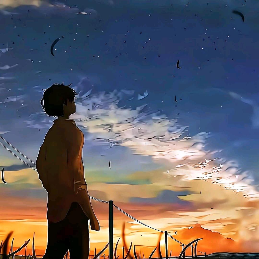 雨木的蓝天