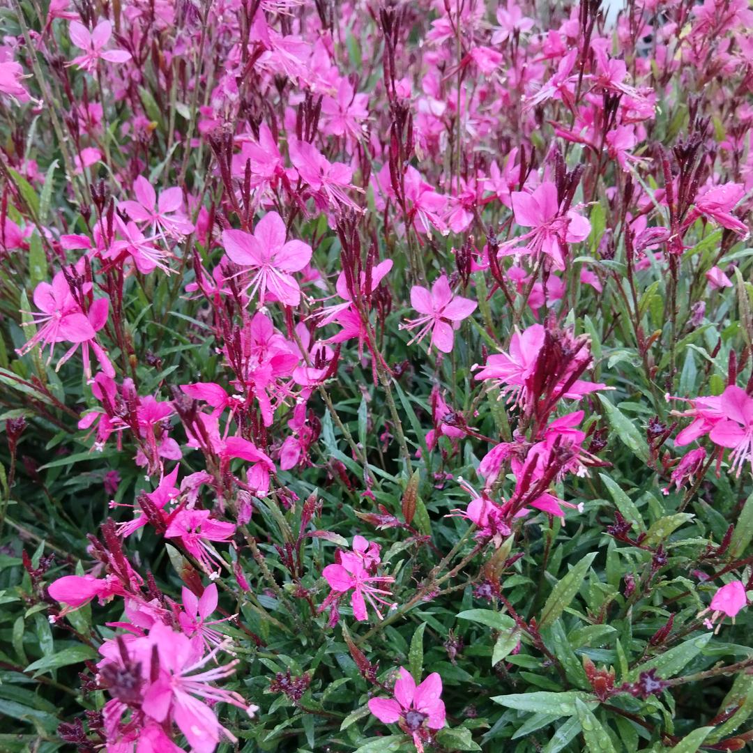 时光能倒流吗？