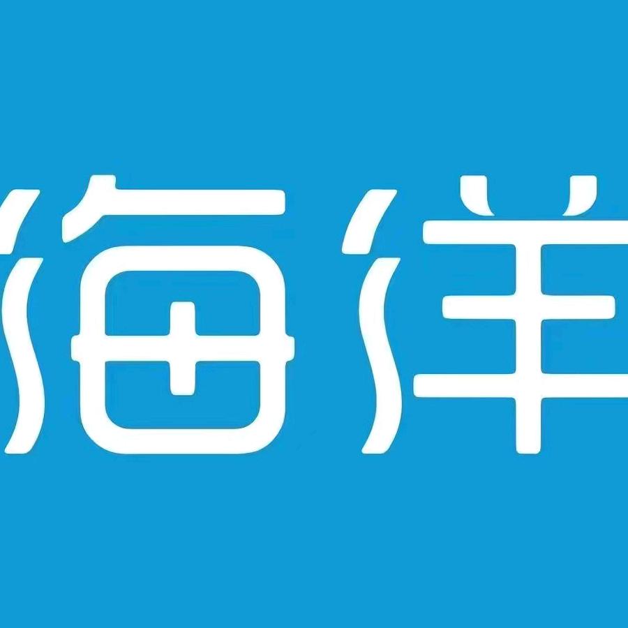 比亚迪海洋（神木枭辰店）