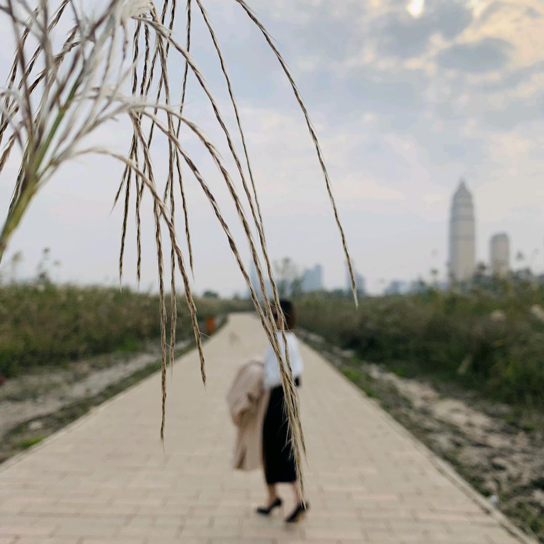 🍊橙子12138