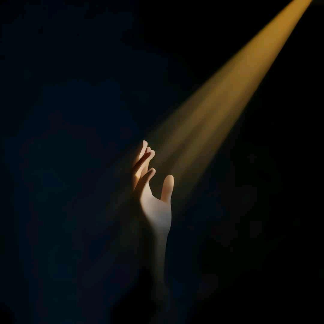 ˇ天黑请闭眼☃