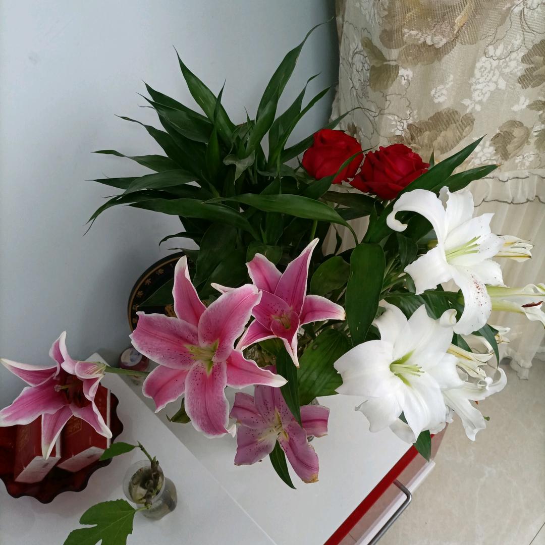 醉仙歌