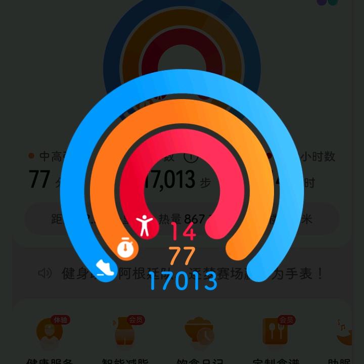 小小龙2y
