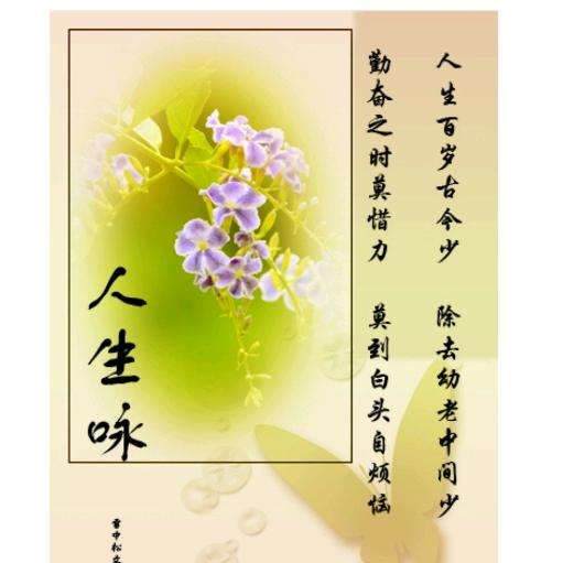开悟