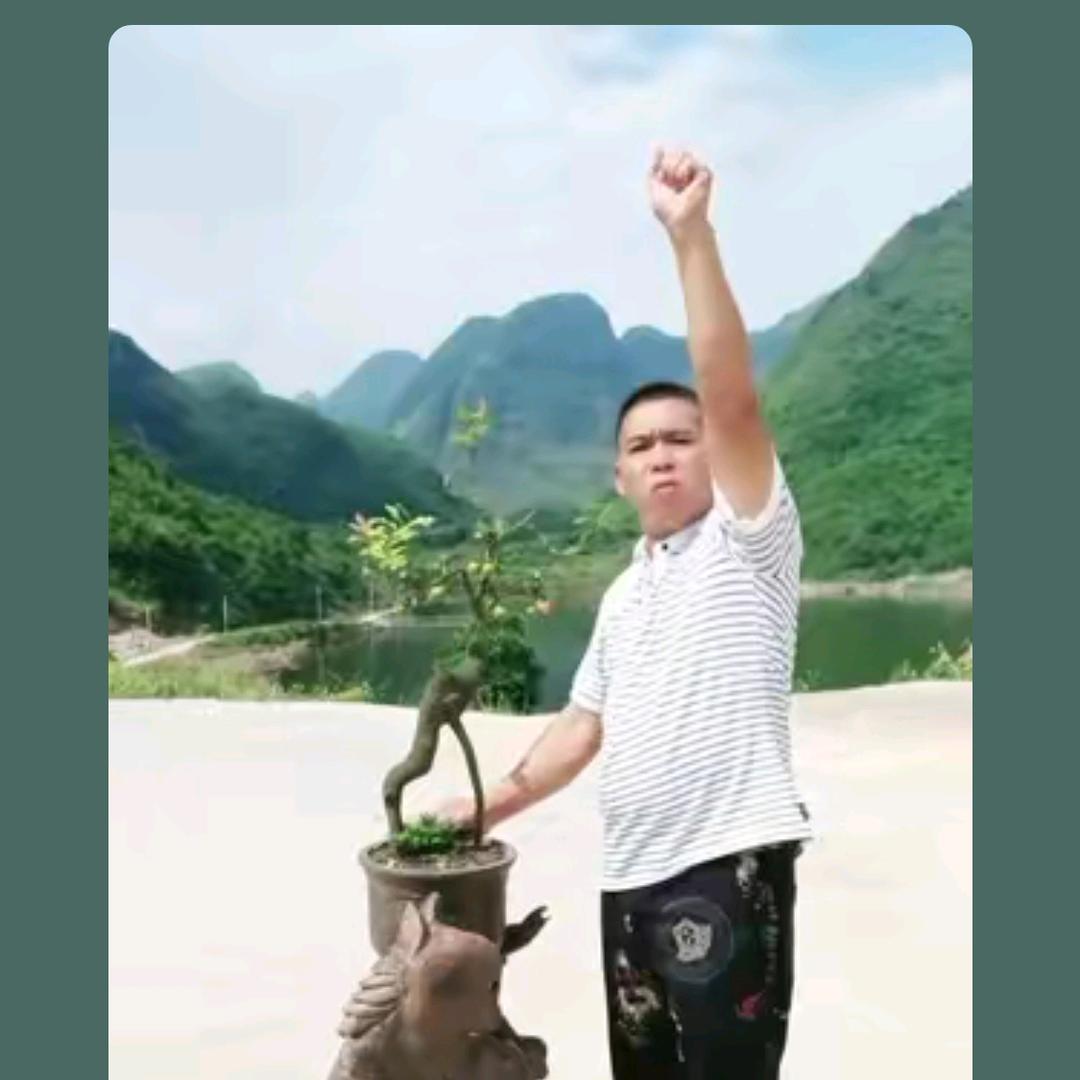 安弟金蛋