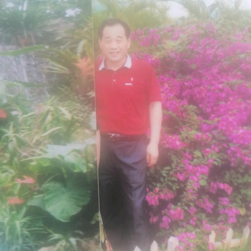 🕊英雄水手(5276)