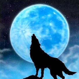 🐺“孤狼”🐺