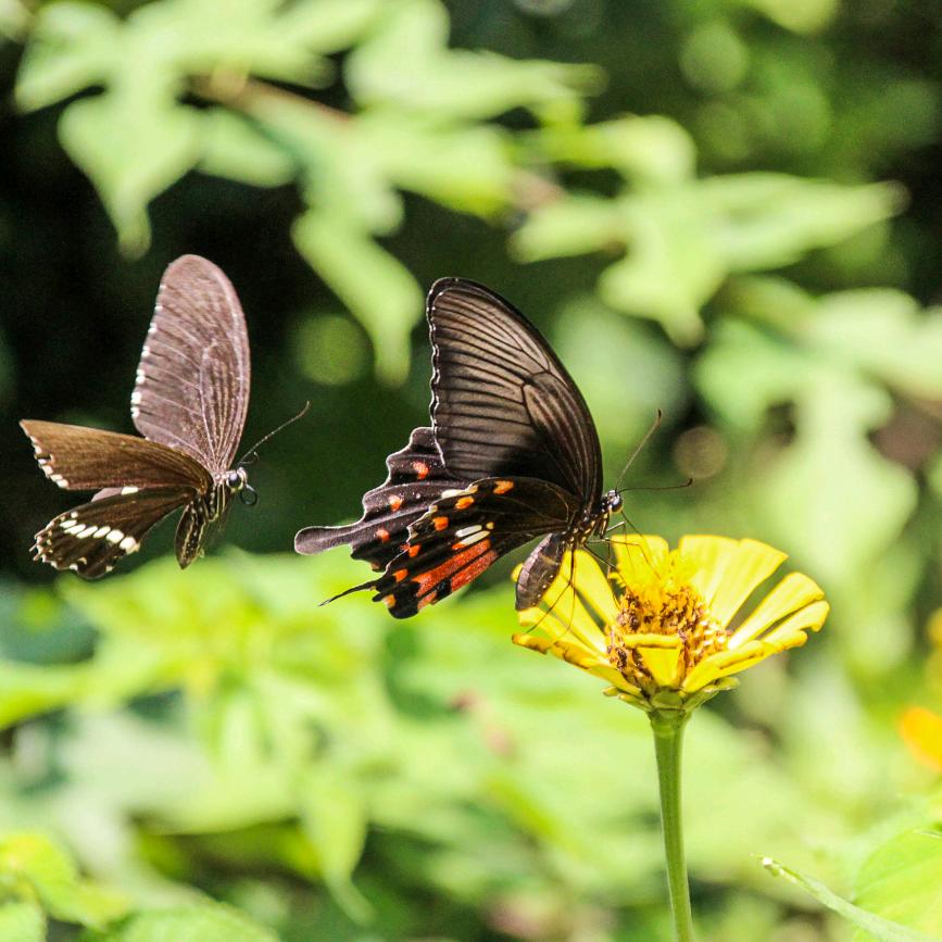 中山天翼机器人科技有限公司