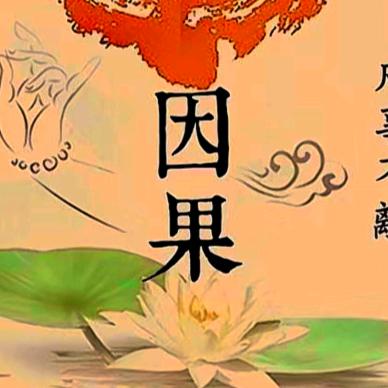 因果种子