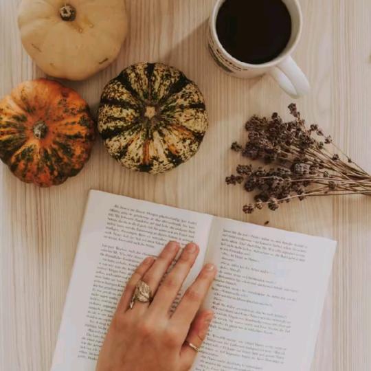 盘锦音速汽车王哲