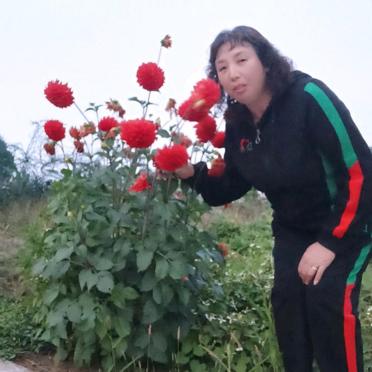 胖姐