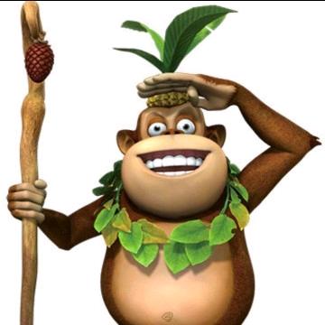 吉吉-国王（鑫启航农业）