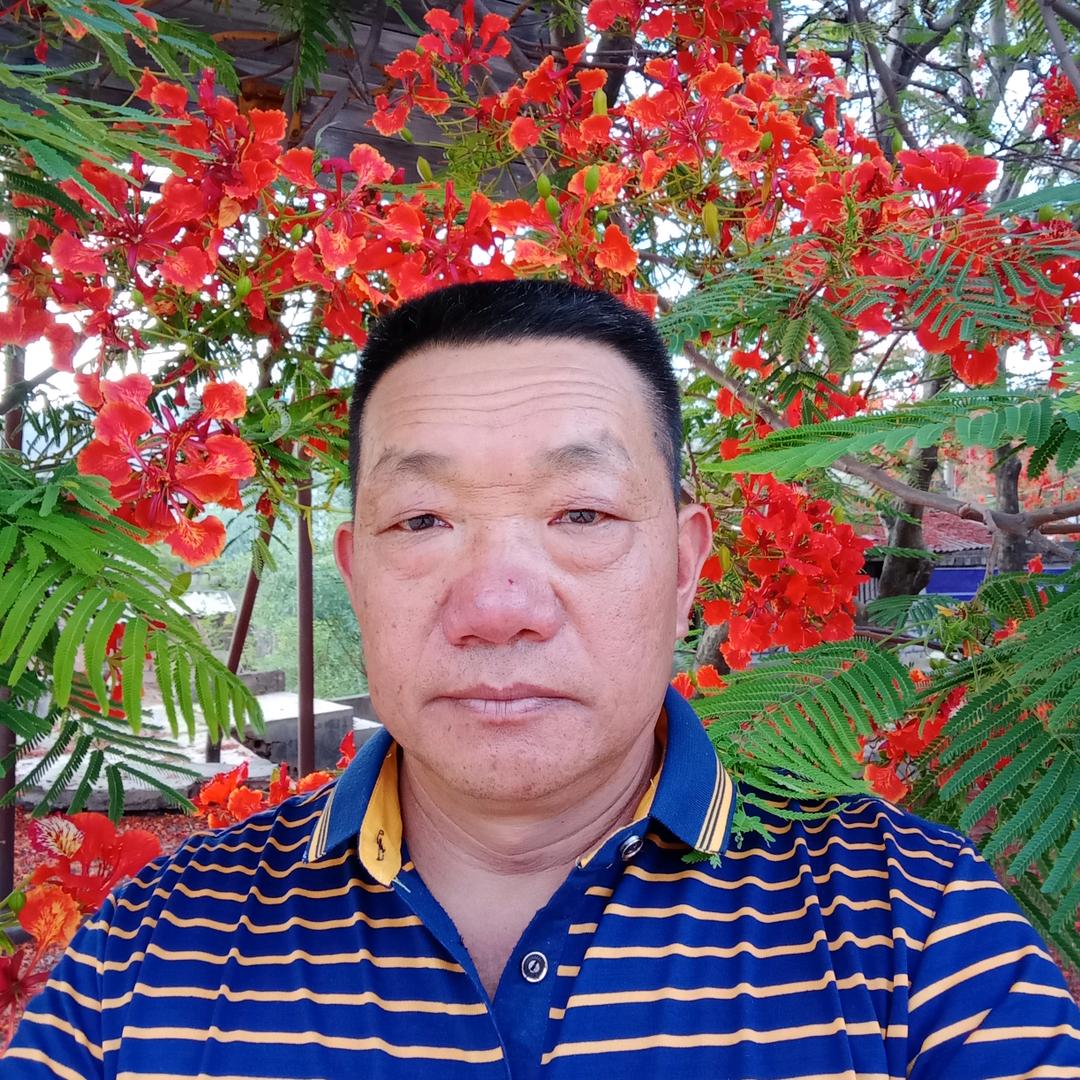 老普师