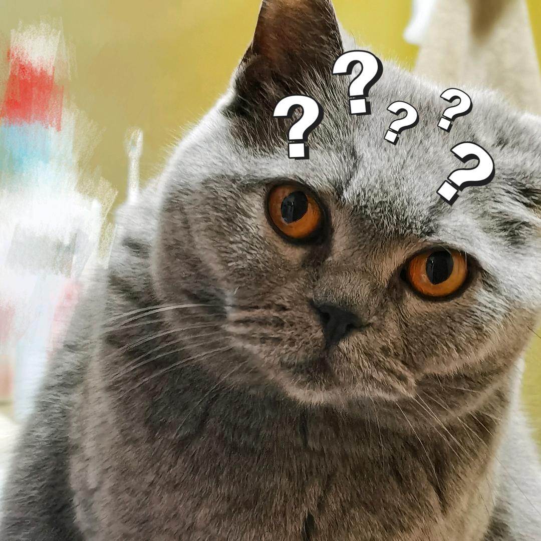 漂不动