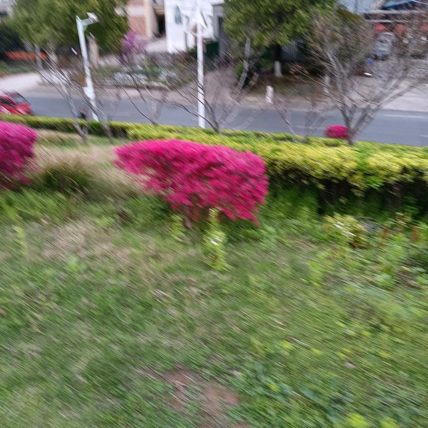 家