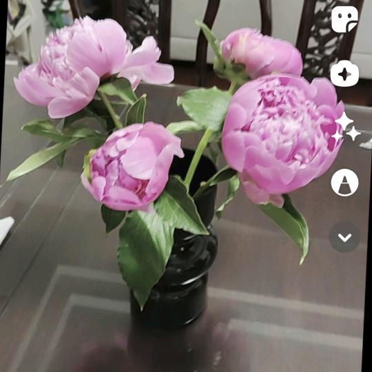 一生萍安