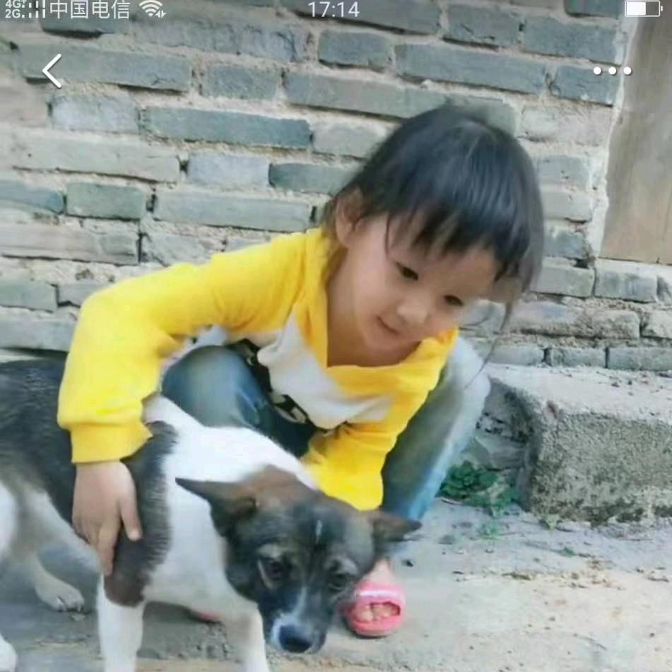 夸省专职牵线搭桥红娘老黄