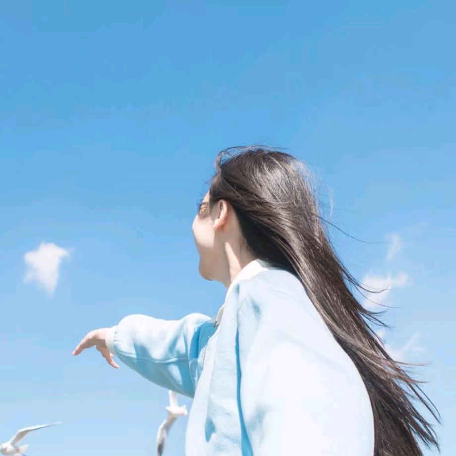 闽菜鸟