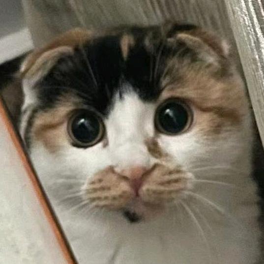 小花