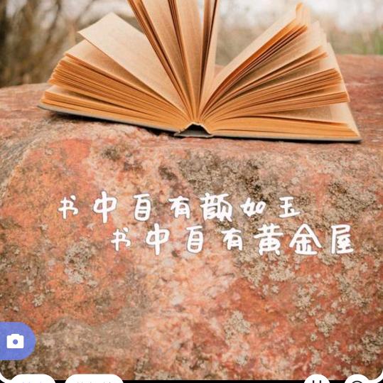 宸宸呀