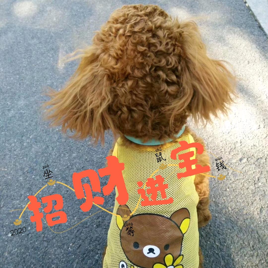 曉禹 