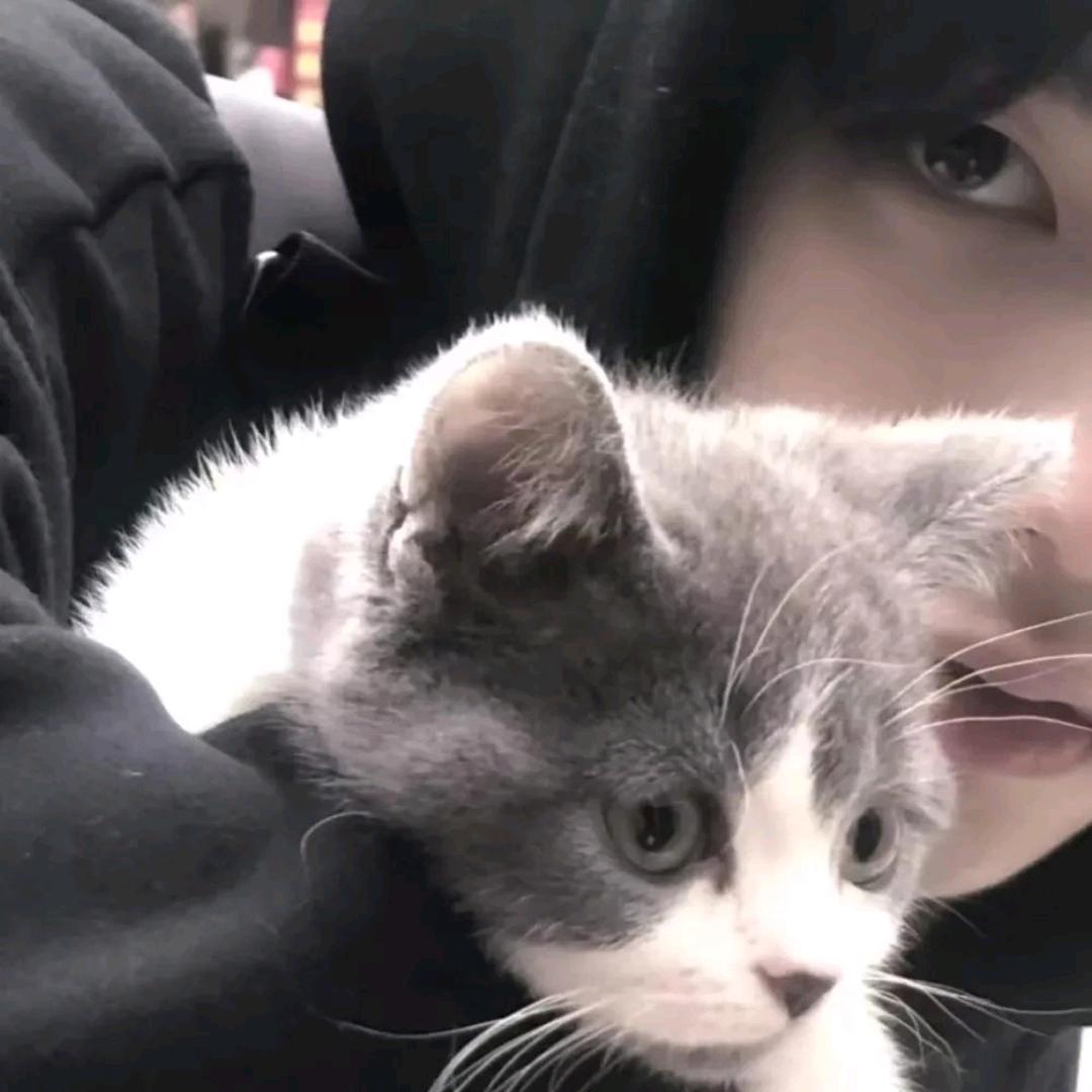 禾禾(登登纯绿跑刀)