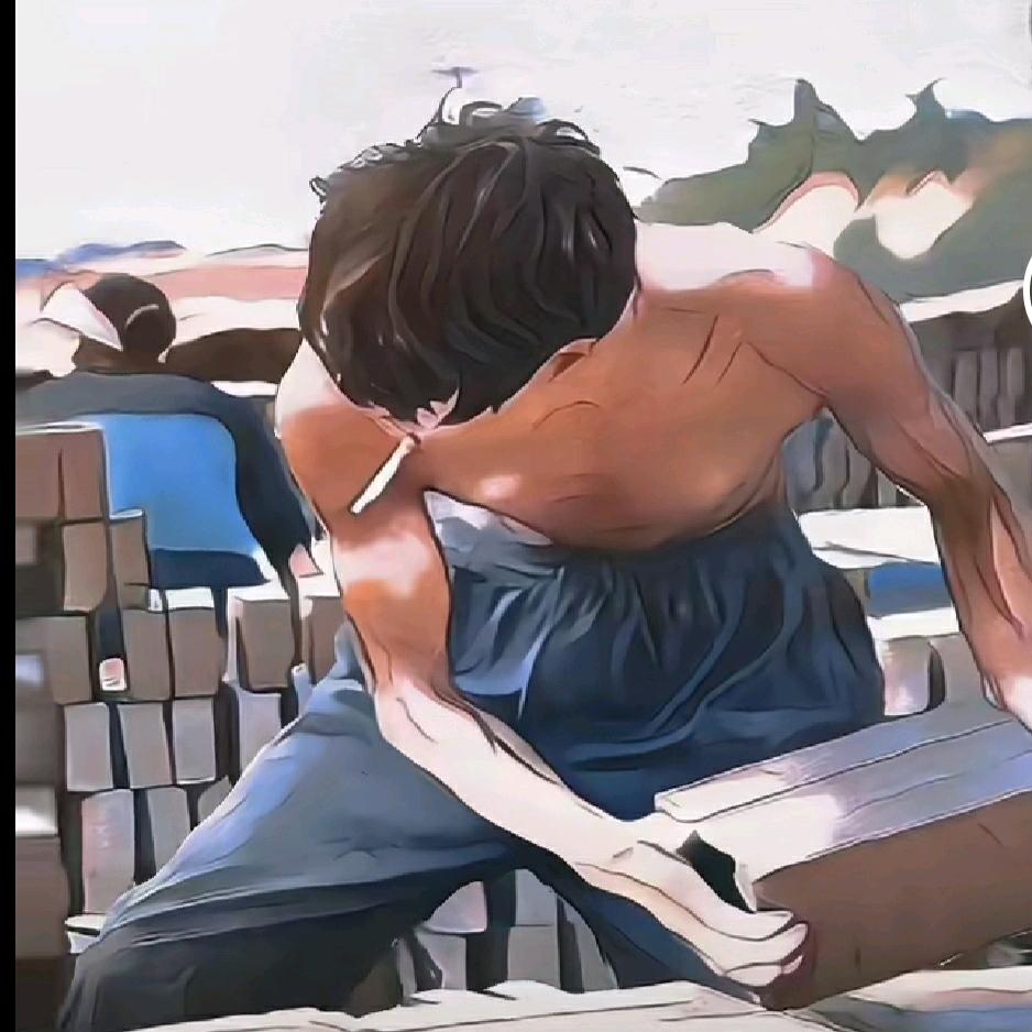 那片森林里的海