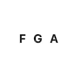 FGA宝石之国