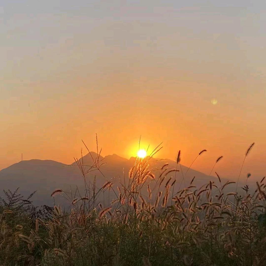 早安..