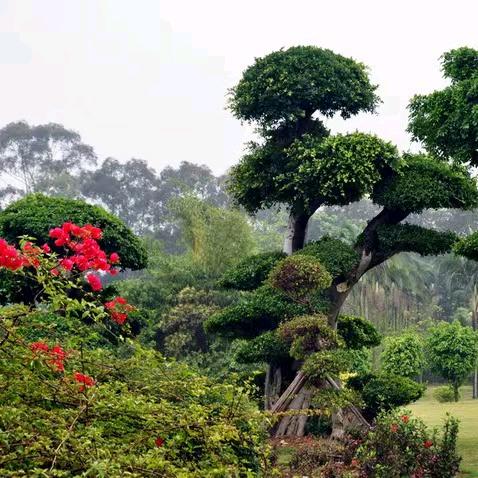 酷乐之家 🦀⁶²⁶