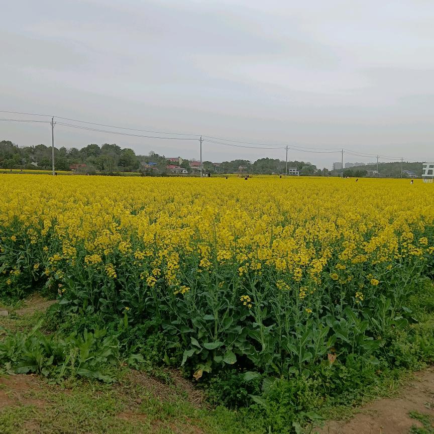 春风细雨💖⁹²⁷