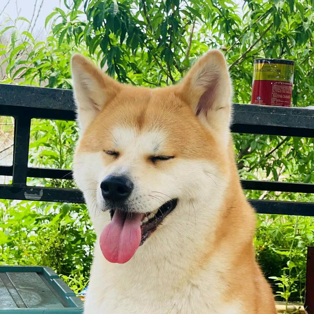 叫安静不是安静