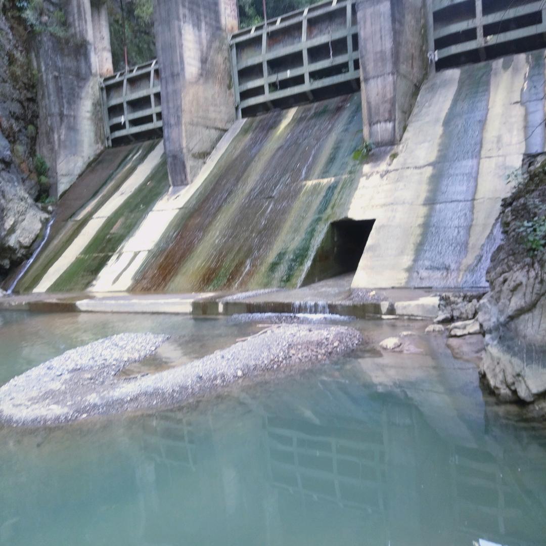 随心所欲