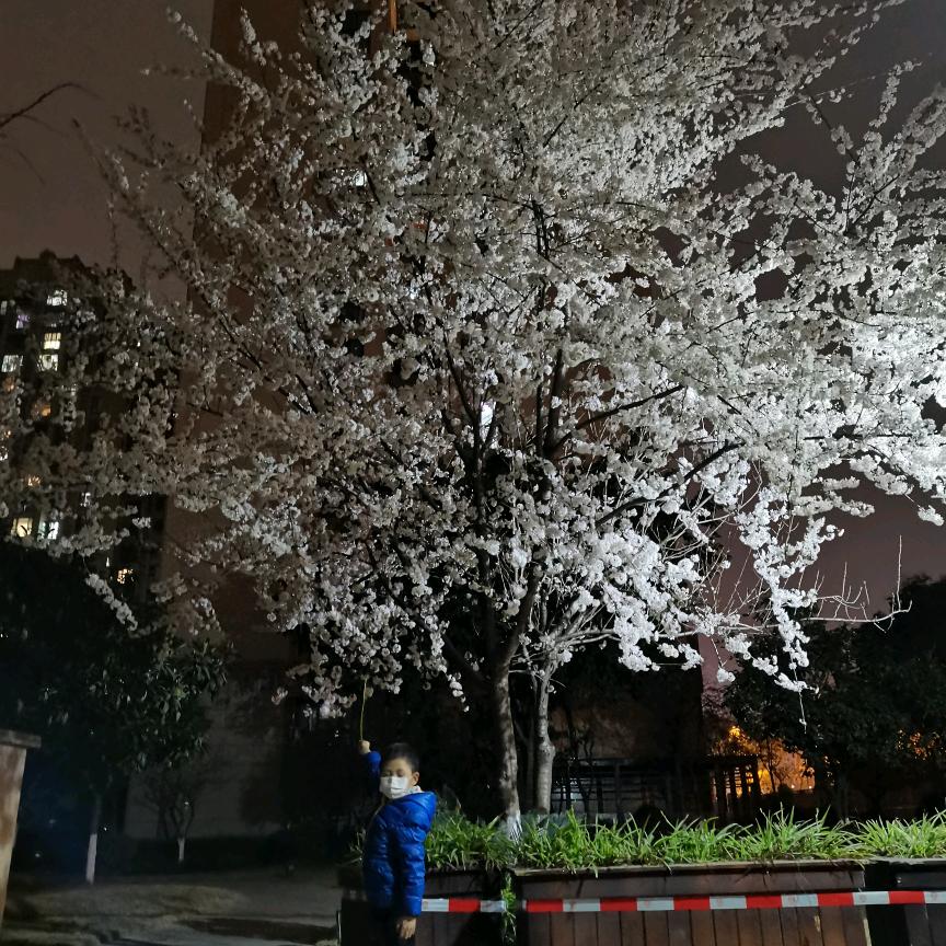 航帆海头像