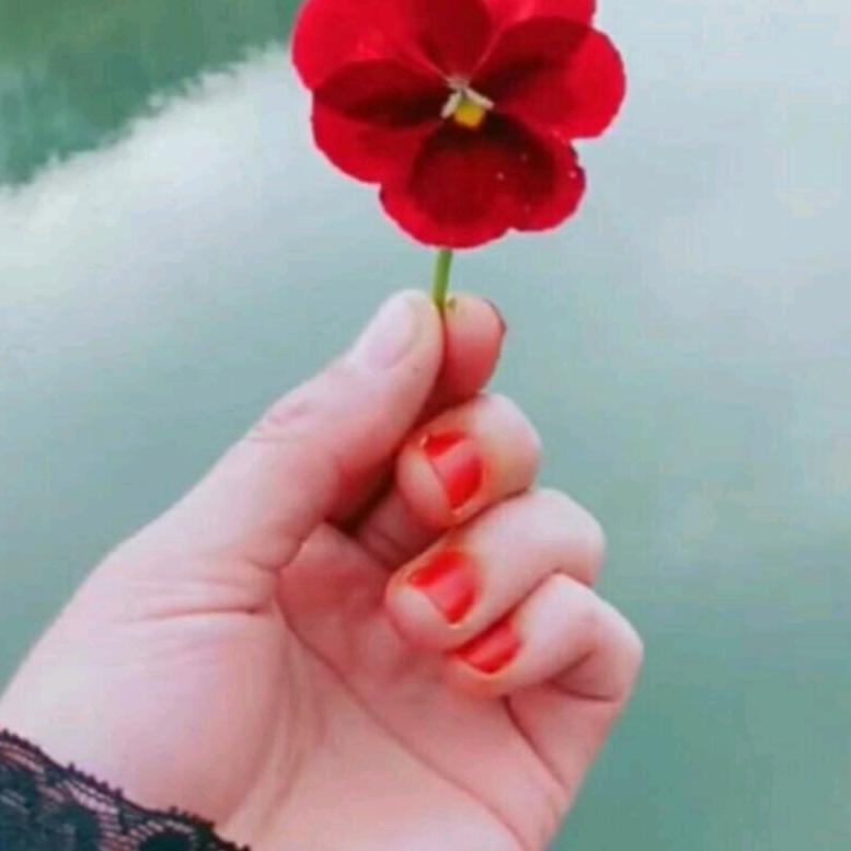 快乐王