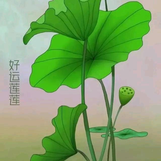 哥很潇洒