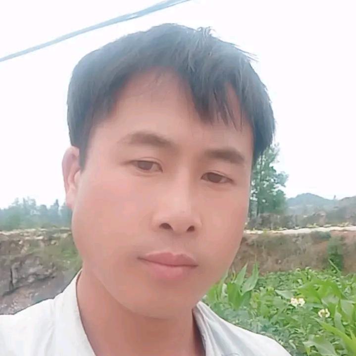一朵玫瑰